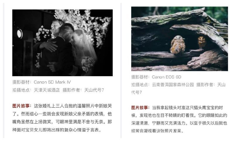 视觉中国关了怎么办?!十大免费高清图库拿走不谢!(收藏)