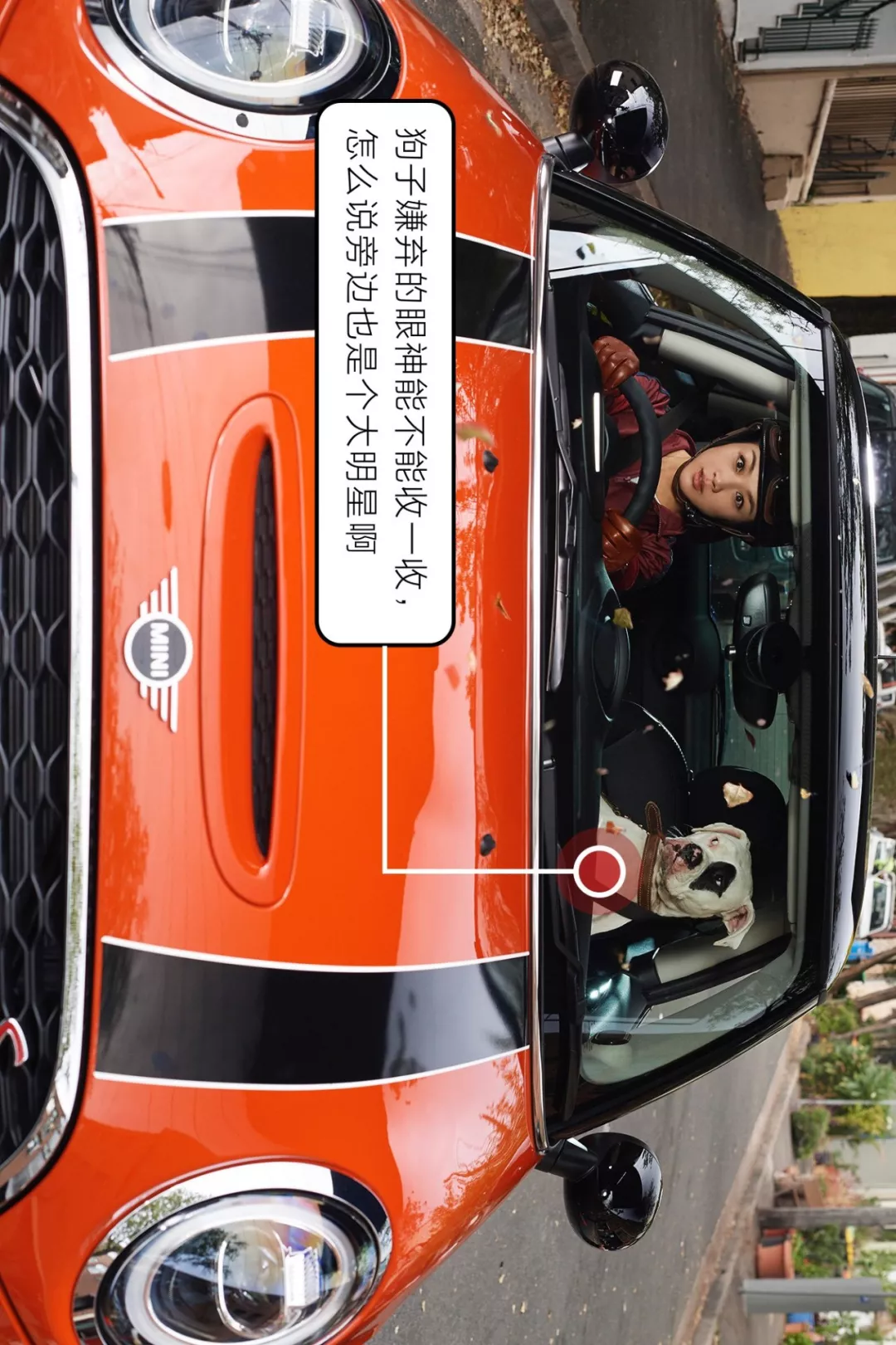  上街太危险了，一不小心就会遇到真爱