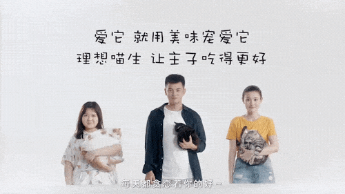 你在外面干的那些勾当,你家喵全知道!