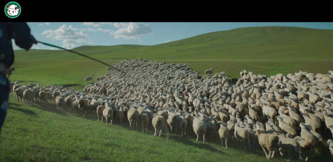 看完这支广告,我们很快就熟了……