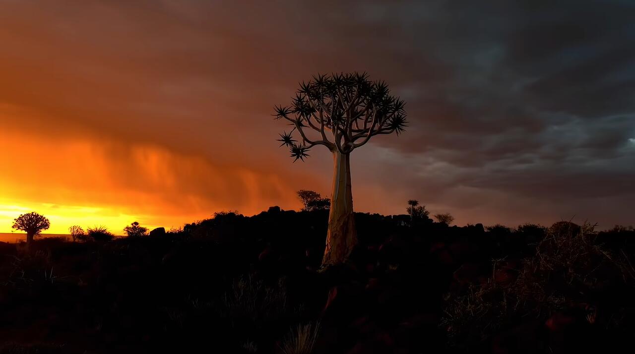 世界地球日,苹果镜头下的大自然很燃!