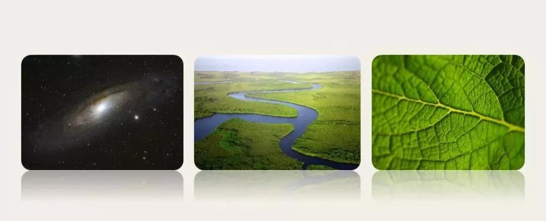 营销思维|局部与整体相似,【分形理论】对营销的启发