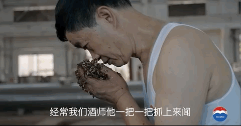 《人生致味》—— 茅台的“另一番”味道