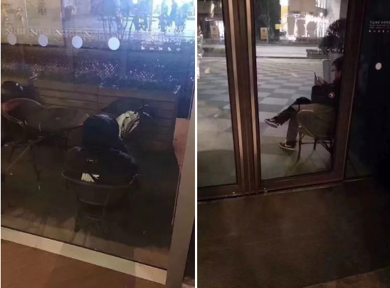 星巴克 “猫爪杯”被疯抢!网友:又要缴智商税了