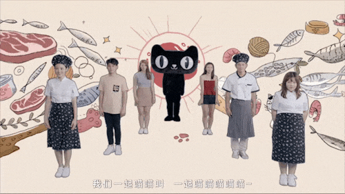 你在外面干的那些勾当,你家喵全知道!