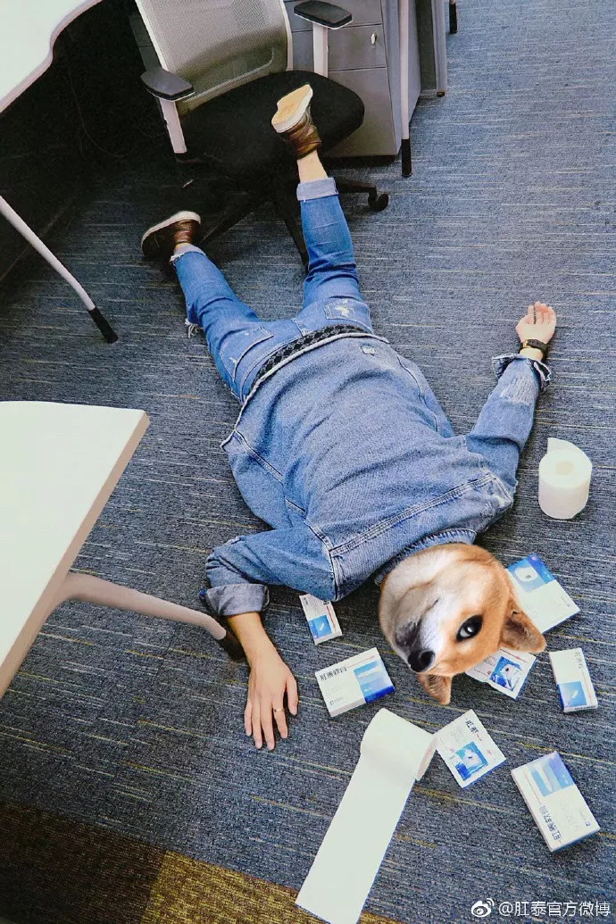 贫穷限制想象!“摔倒炫富”怎么突然就火了?