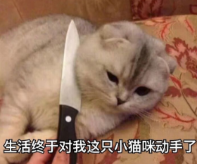 早上维权、中午P2P催债、下午为比特币懊悔,网友们最近都好丧啊....