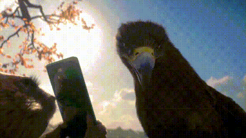 买不起华为,我看看广告总可以吧!