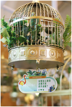 百雀羚618|百雀鸟语,一场沉浸式的电商