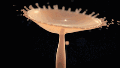 唇釉爱上粉底液,只是一场意外