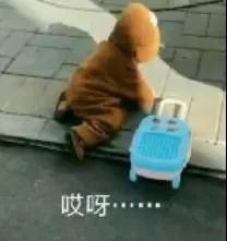 想买这些红包!2019红包利是封设计,好喜欢啊!
