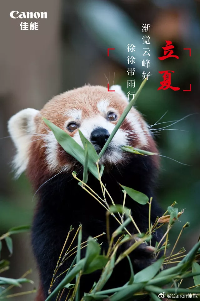 立夏借势丨杰士邦：天热了，口感更好