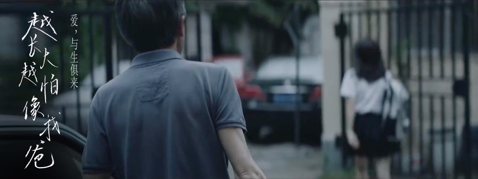 浦发信用卡做了一道“家常片“献给父亲节