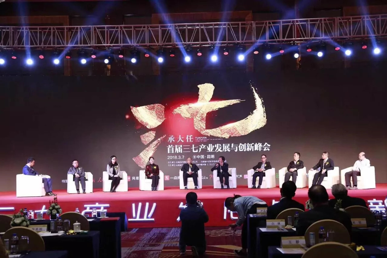 ”豹七三七节“节日IP打造