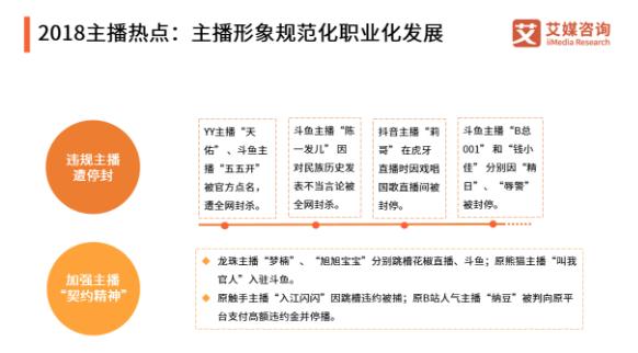2018-2019中国在线直播行业研究报告