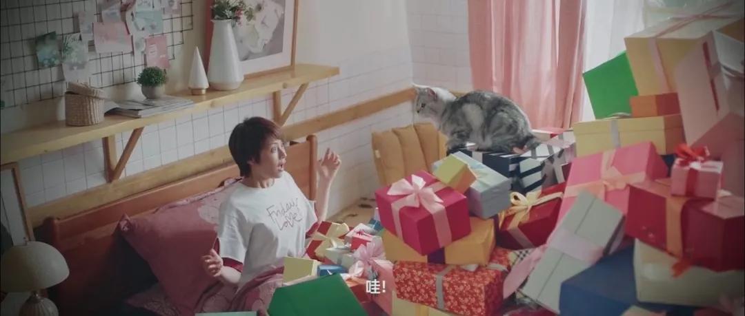 618的「猫狗大战」又开打了