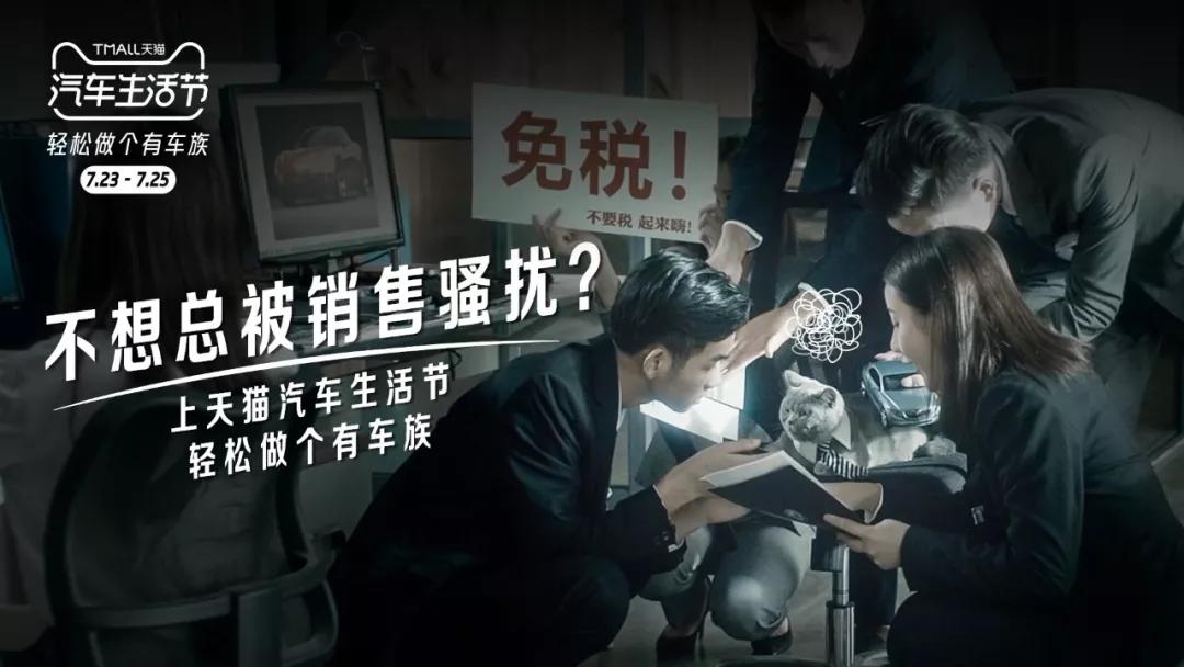 又骗我养猫!天猫这支猫片太萌了吧!