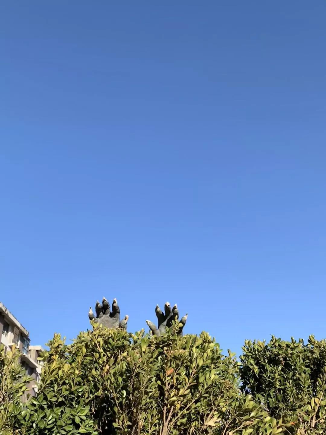 喝酒配花生,这支“黄飞红”广告沙雕了!