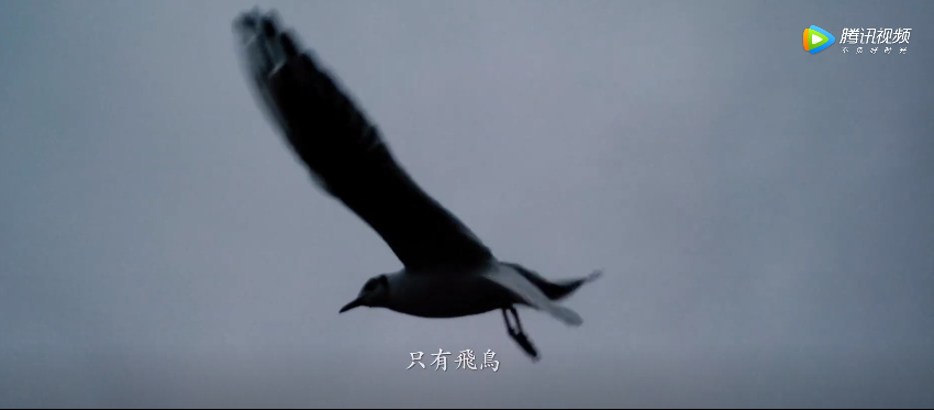 徕卡诗歌短片:凝结漂泊的云,显影无形的风