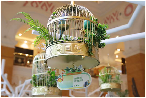 百雀羚618|百雀鸟语,一场沉浸式的电商