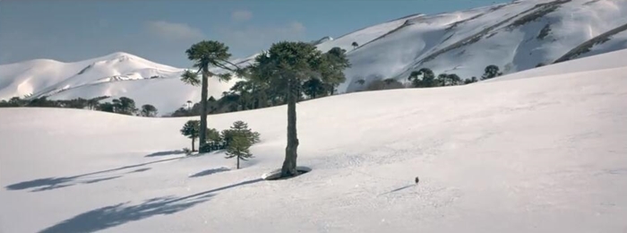 肯德“鸡”和火鸡的对决,KFC 西部风格圣诞大片