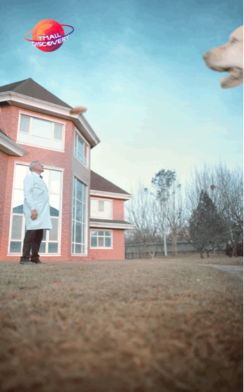 巨型宠物在北美发生多起袭击事件,原因竟然是......