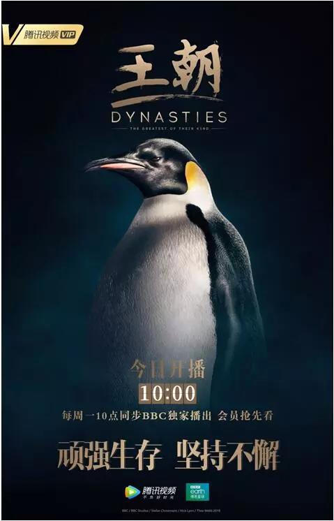 怎样的创意能做出像zepeto一样的爆款?听鹅厂顶尖创意人聊他们的创意人生