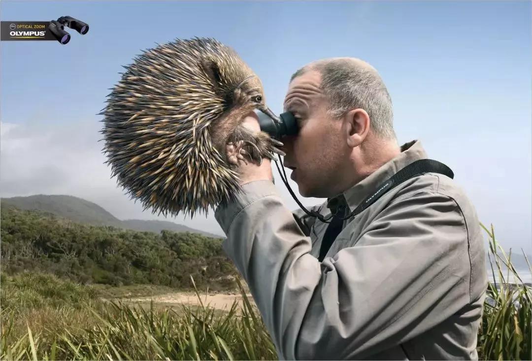 那些年JWT的精彩广告,都是经典