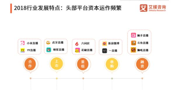 2018-2019中国在线直播行业研究报告