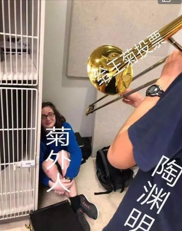 王菊为什么火了？一场精准踩中互联网营销G点的大众狂欢！