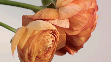 这一次,杜蕾斯这么玩儿…