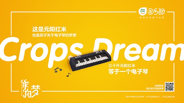 农村淘宝:每一种作物对应孩子的一个梦想