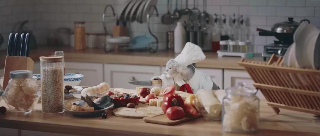 618的「猫狗大战」又开打了