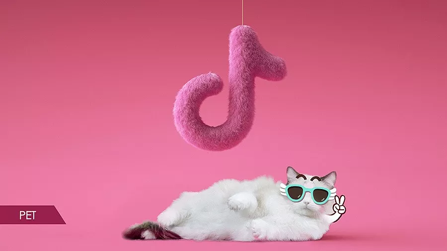 抖音 | 你不知道的一万种美好都在这里