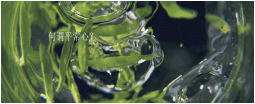 历练方得平常心,竹叶青年度品牌短片