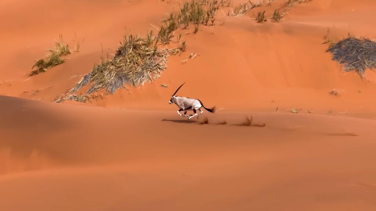 世界地球日,苹果镜头下的大自然很燃!