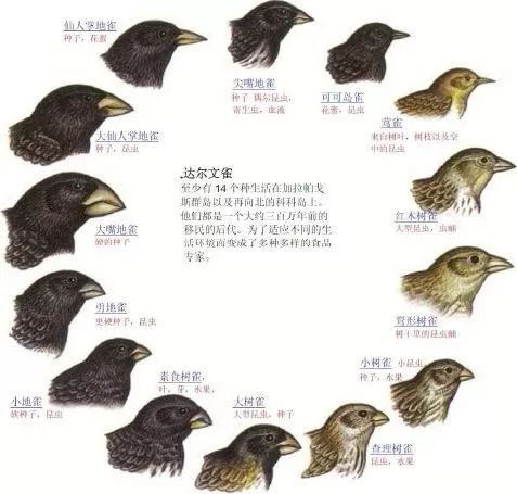 BAT都在用的方法，详解A/B测试的那些坑！