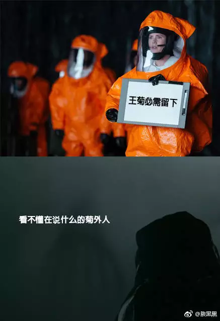 王菊为什么火了？一场精准踩中互联网营销G点的大众狂欢！