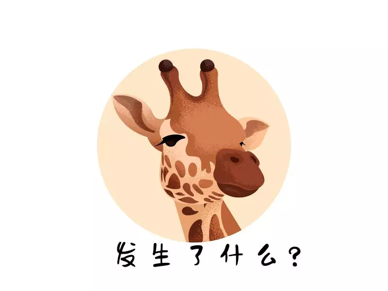 这种创意思维，让我成为芳心纵火犯