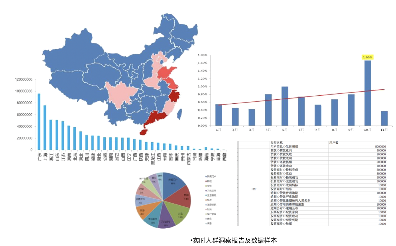 苏宁易购大数据营销方案