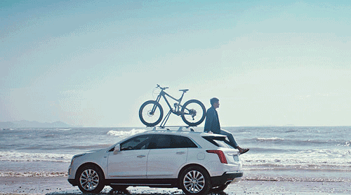 我们的各种不快,往往是我们走得太快