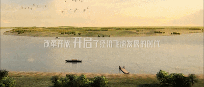 三棵树励志短片,致敬每一个勇敢开始的你!