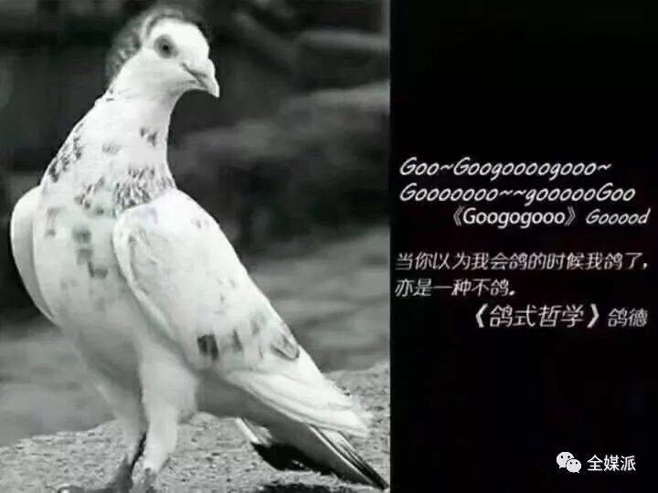 “当代人类”四大本质:复读机、鸽子精、真香怪、柠檬精