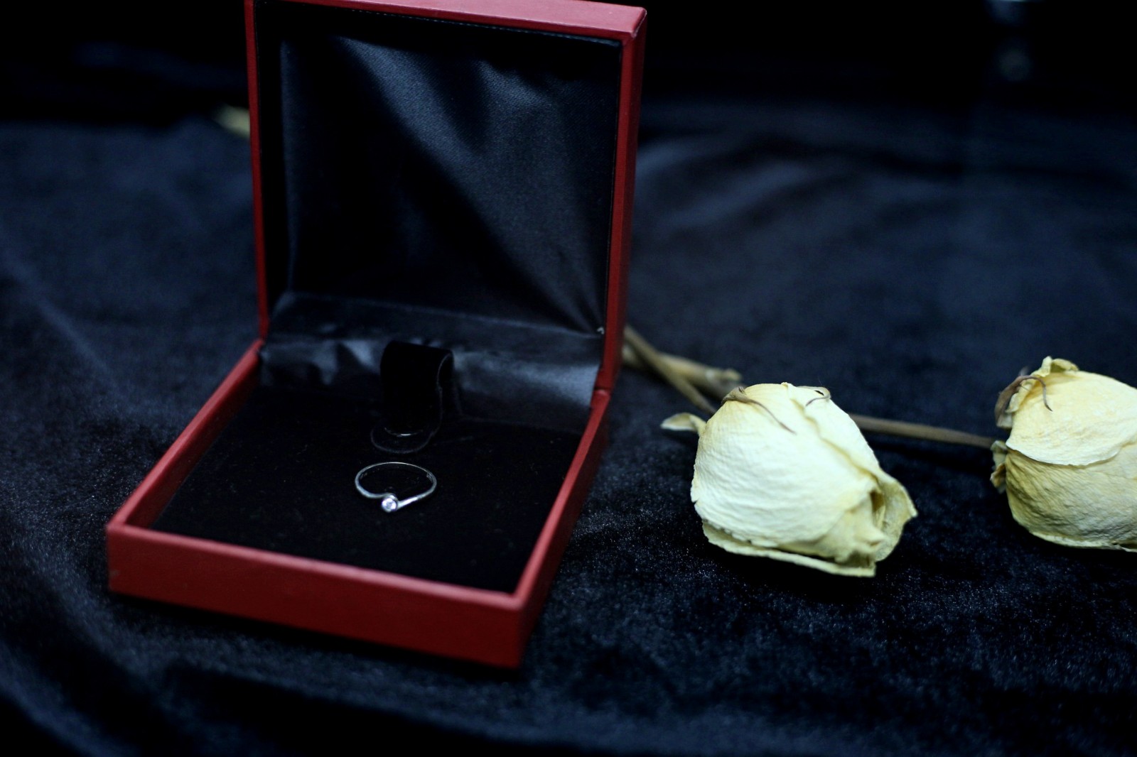 520当天,沈阳万象城开了一场只有7天的失恋展-爱情避难所