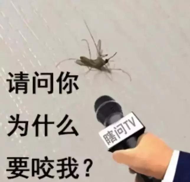 我这样的蚊子真让你不放心