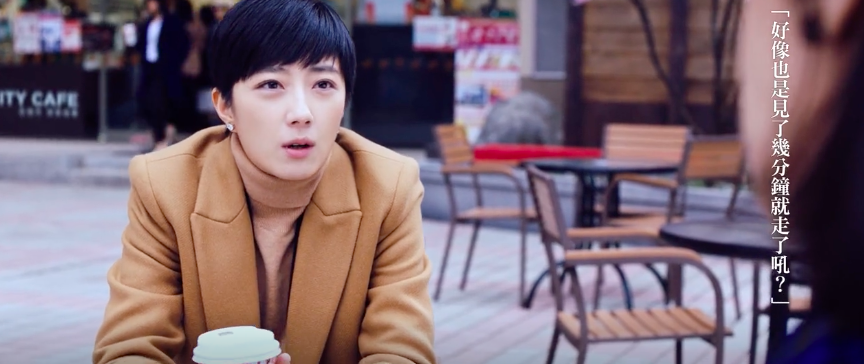 CITY CAFE:樱花什么时候最美,坠落时