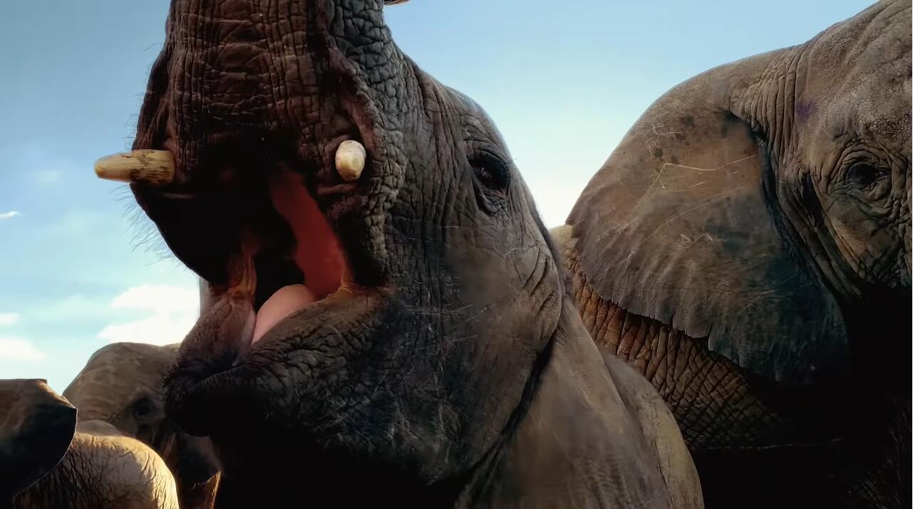 世界地球日,苹果镜头下的大自然很燃!