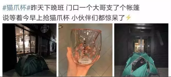 星巴克 “猫爪杯”被疯抢!网友:又要缴智商税了