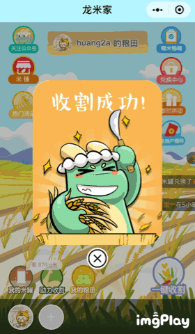 龙米家 | 我在小程序卖米有百万粉丝疯抢