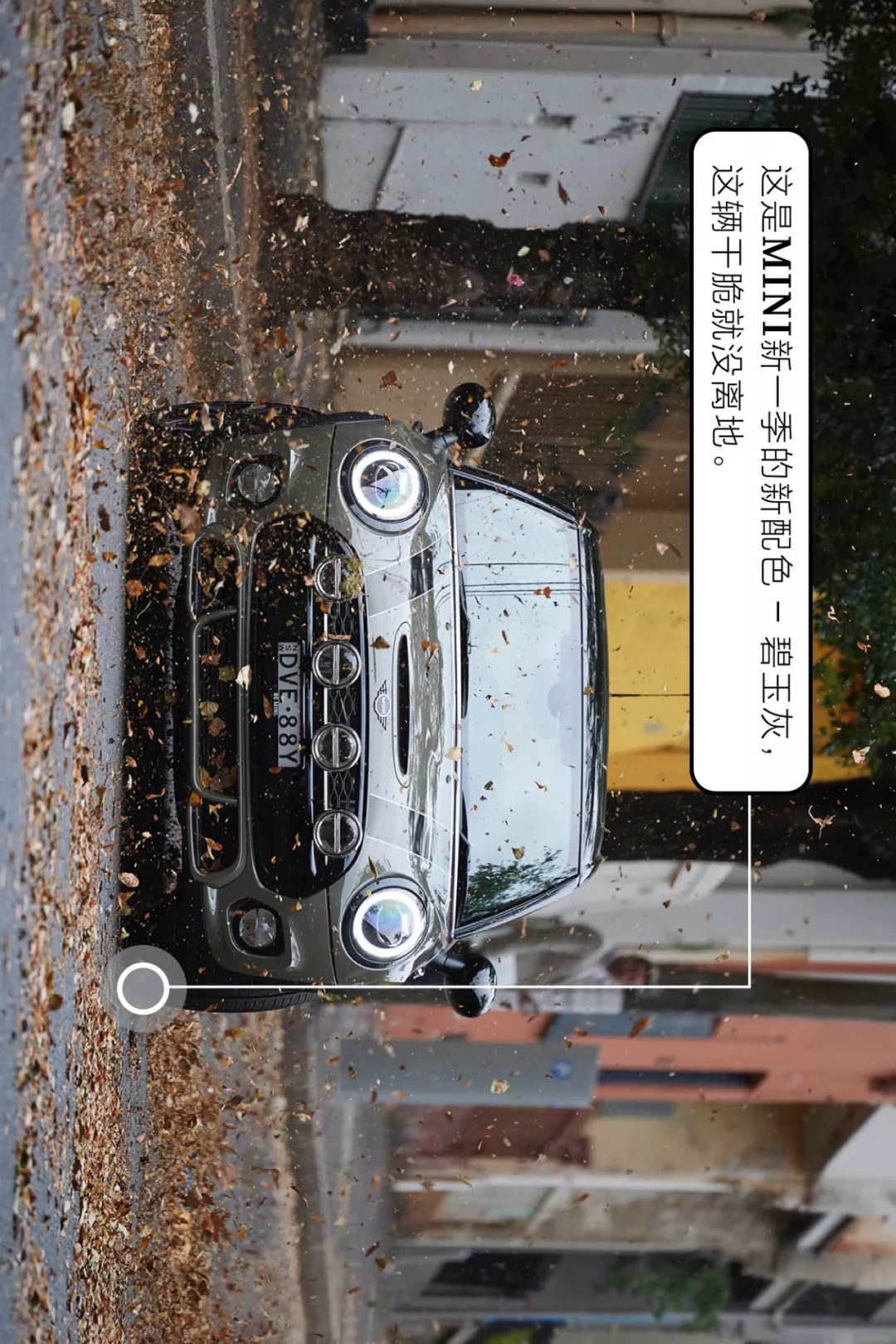  上街太危险了，一不小心就会遇到真爱